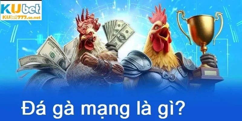 Đá gà mạng là gì