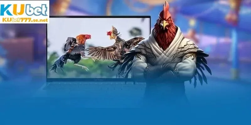 Nhà cái tung ra đa dạng các loại hình đá gà khác nhau